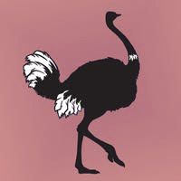 SORTIDA GRANJA EDUCATIVA ARTESTRUZ 3-4-5 ANYS