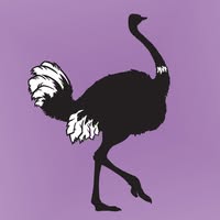 SORTIDA GRANJA EDUCATIVA ARTESTRUZ 3 - 4 - 5 ANYS