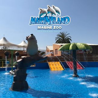 SORTIDA MARINELAND 1R I 2N PRIMÀRIA - SOCIS AFA